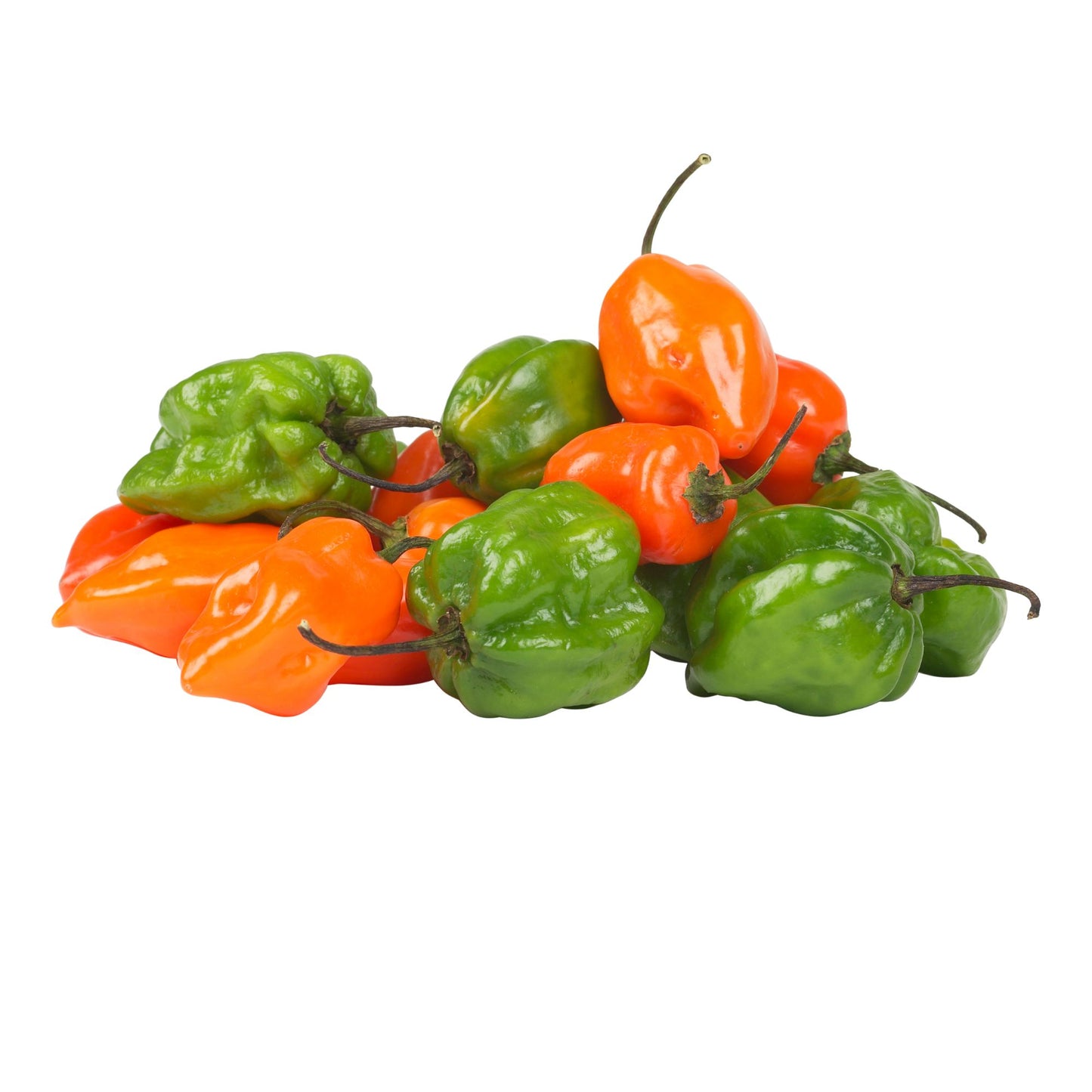 Fresh Habanero Chili 250g