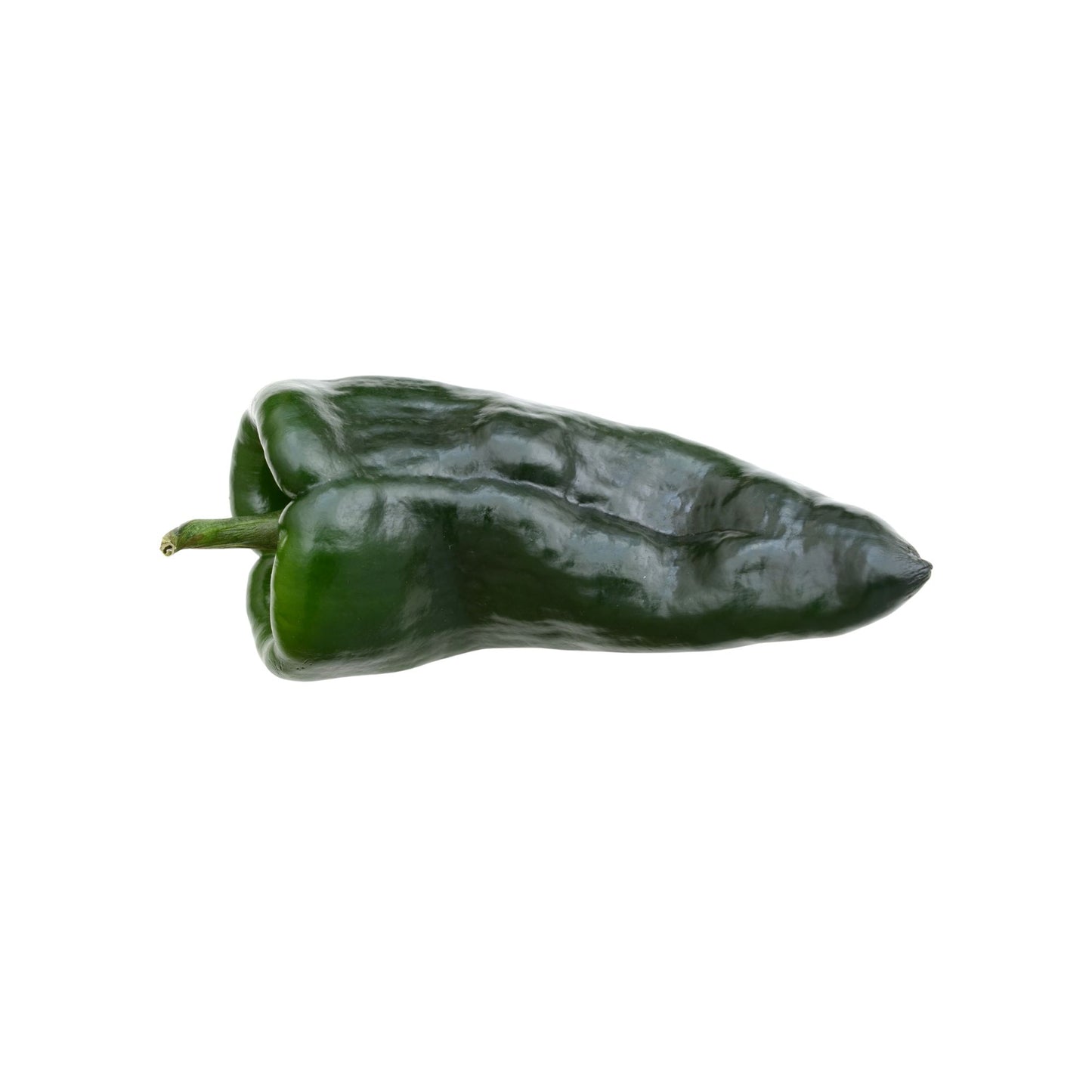 Fresh poblano chili (1 piece) approx. 100g
